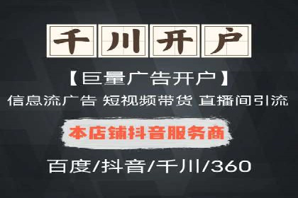 案例对比：SEO与SEM优化效果深度分析